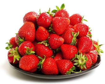 5 - 1000 Albion Ever Bearing Strawberry Plants - CERTIFIED Healthy Bare Root Dormant Plants