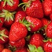 see more listings in the Strawberries section