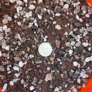 May include: Close-up of a brown, black, and white potting mix with a silver US quarter coin in the center.