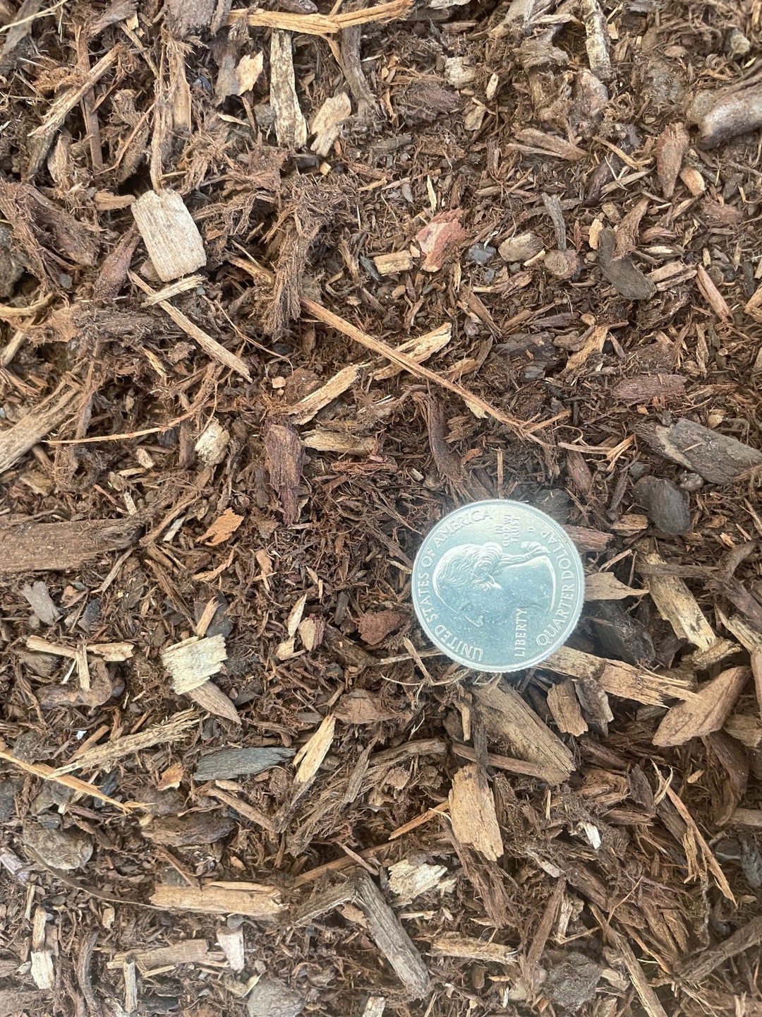 3 Gal. Aged Medium Fir Bark for Bonsai/succulent/cactus & Seed Starting