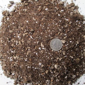 May include: A close-up of a brown potting mix with small white and brown rocks. A US quarter is included for scale.