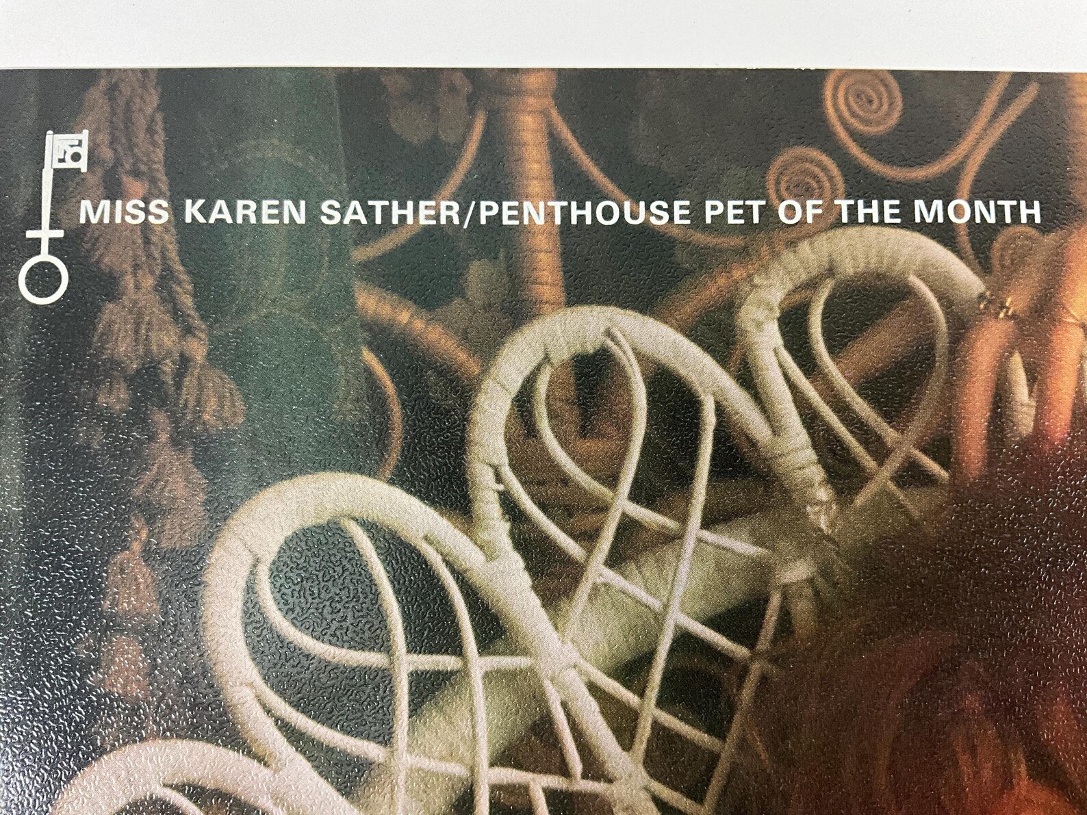 Vintage 1970 Penthouse Pet Pin up Poster Miss Karen Sather 17 X 11 - Etsy