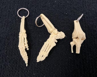 Vintage Spooky Halloween Keychain&#39;s Set Skeletal Hand Foot Knee Joint. NOS