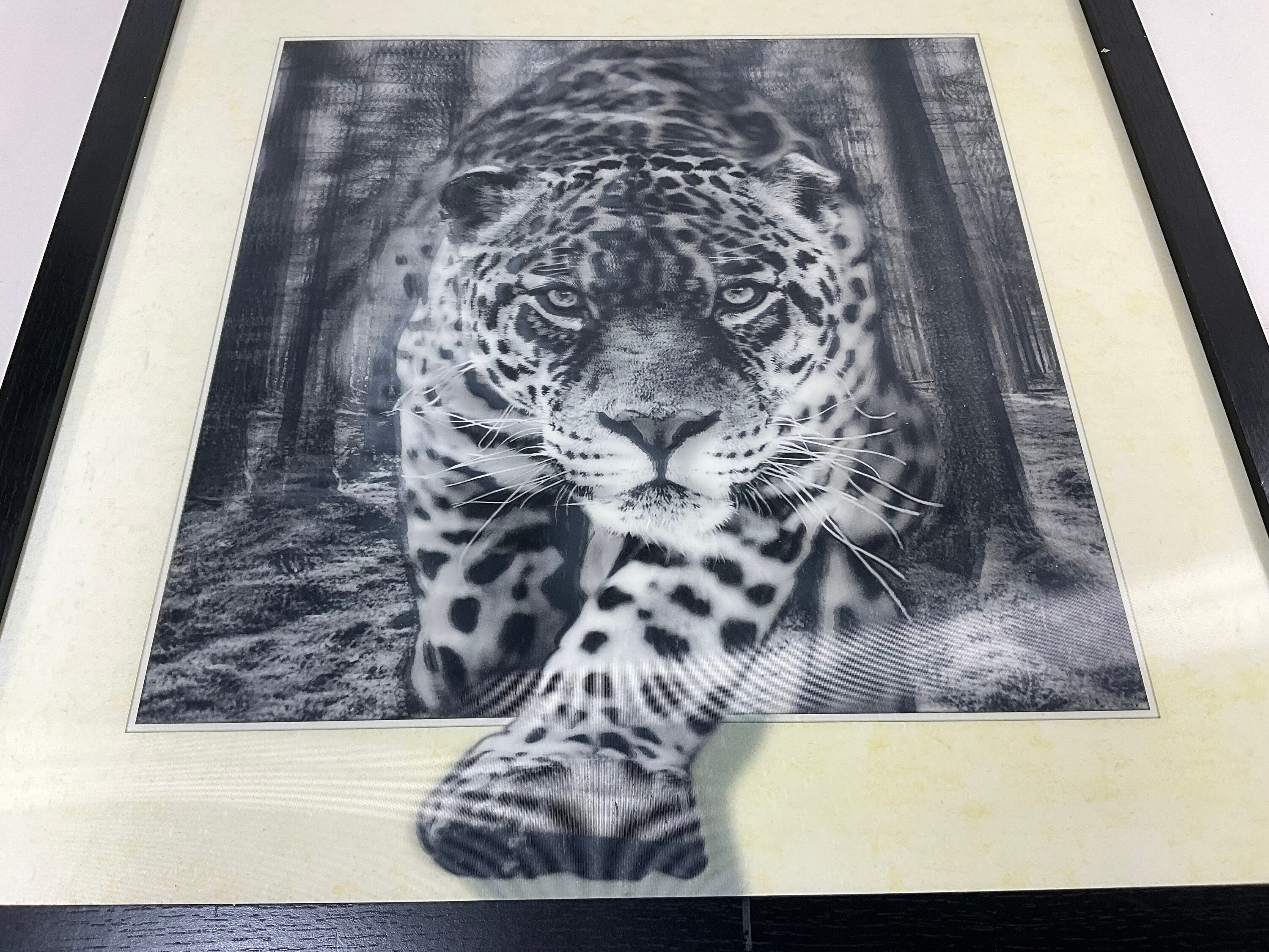 Lenticular 3-D Leopard Framed Photo Picture. 17