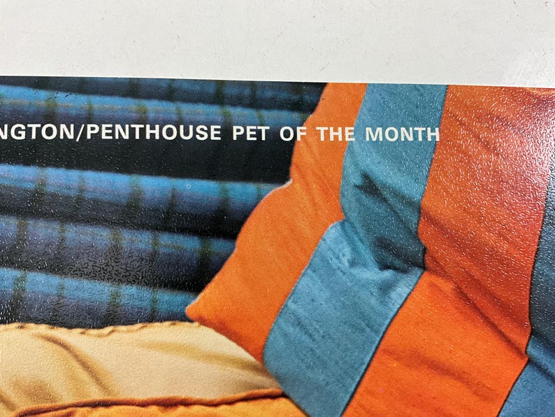 Vintage 1970 Penthouse Pet Pin-up Poster Miss Cassandra Harrington 17 X