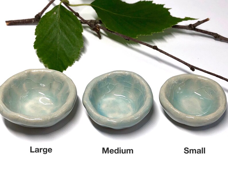 Fairy Garden Robin's Nest Customizable: Turquoise image 2