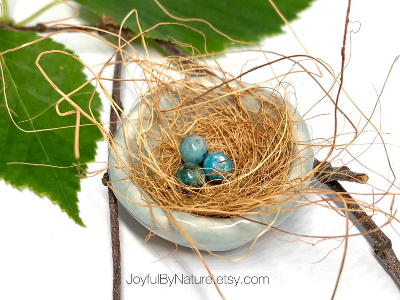 Fairy Garden Robin's Nest Customizable: Turquoise image 4
