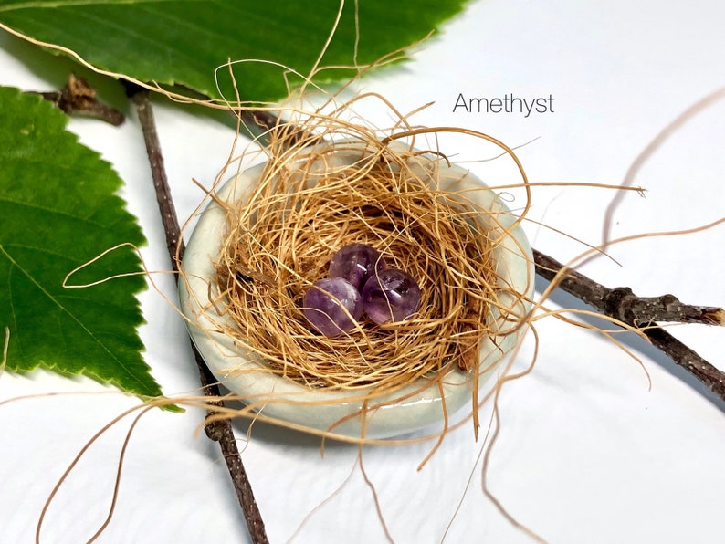 Fairy Garden Robin's Nest Customizable: Turquoise image 5