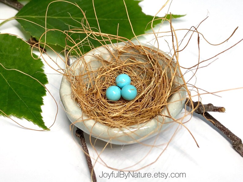 Fairy Garden Robin's Nest Customizable: Turquoise image 0