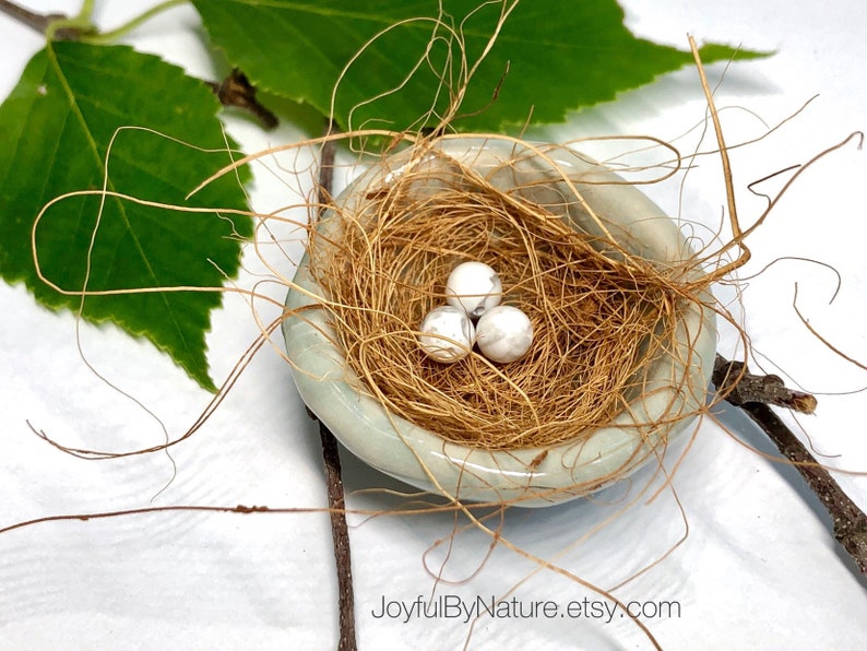 Fairy Garden Robin's Nest Customizable: Turquoise image 6