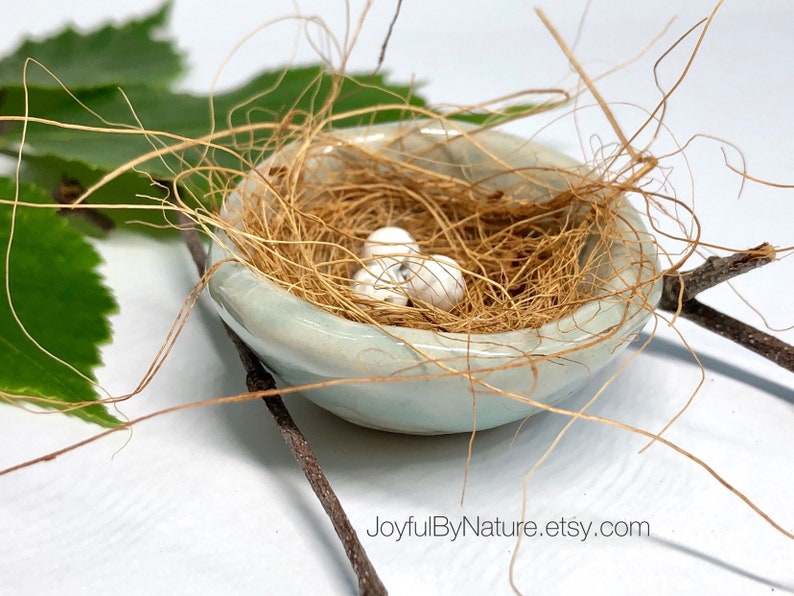 Fairy Garden Robin's Nest Customizable: Turquoise image 9