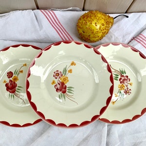6 Vintage French Porcelaine Dessert Plates: HBCM Montereau, Floral Anne Model