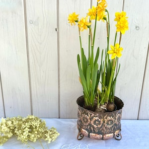 Könnte beinhalten: Ein kupferfarbener Metalltopf mit floralem Design enthält leuchtend gelbe Narzissen mit grünen Stielen und Blättern. Der Topf steht auf einer weißen Oberfläche, mit getrockneten Blumen links. Der Hintergrund ist eine weiße Holzwand.
