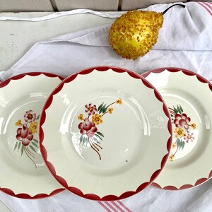 May include: Three white ceramic plates with red scalloped edges and floral designs in shades of red, yellow, and green.
