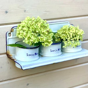 May include: White enamel shelf with three small white enamel cups with blue trim. Each cup holds a bunch of light green flowers. The cups have the text "Savon!" printed on them.