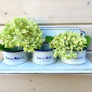 May include: Three white enamelware containers with blue trim, labeled "Savon Mineral", "Savon Noir", and "Cristaux", are mounted on a white shelf. Each container is filled with a bouquet of light green hydrangeas.