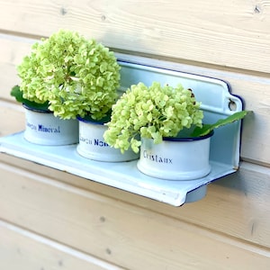 May include: Three white enamelware canisters with blue trim and French text labels are mounted on a white enamelware shelf. The canisters are filled with green hydrangea flowers.