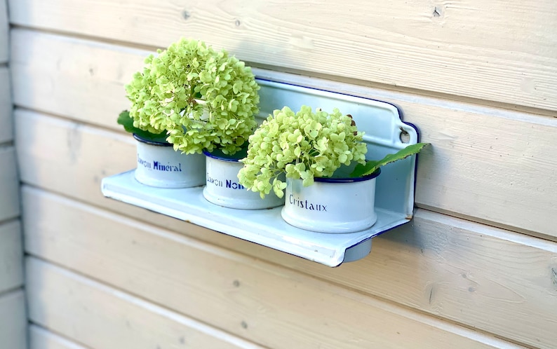 May include: Three white enamelware canisters with blue trim and French text labels are mounted on a white enamelware shelf. The canisters are filled with green hydrangea flowers.