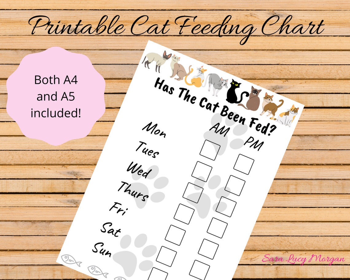 Printable Cat Feeding Chart. Cat Food Schedule. Pet Food Etsy UK