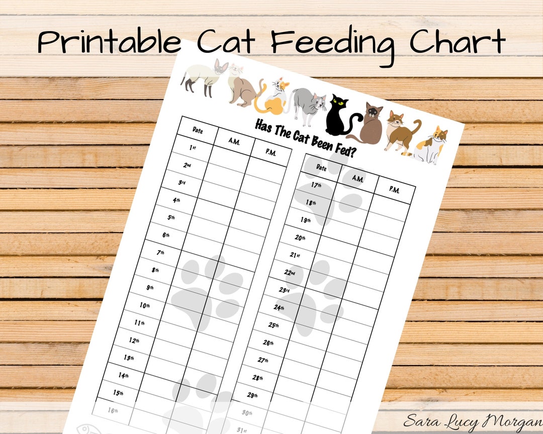 Monthly Printable Cat Feeding Chart. Cat Food Schedule. Pet Food Schedule. Cat Food Reminder