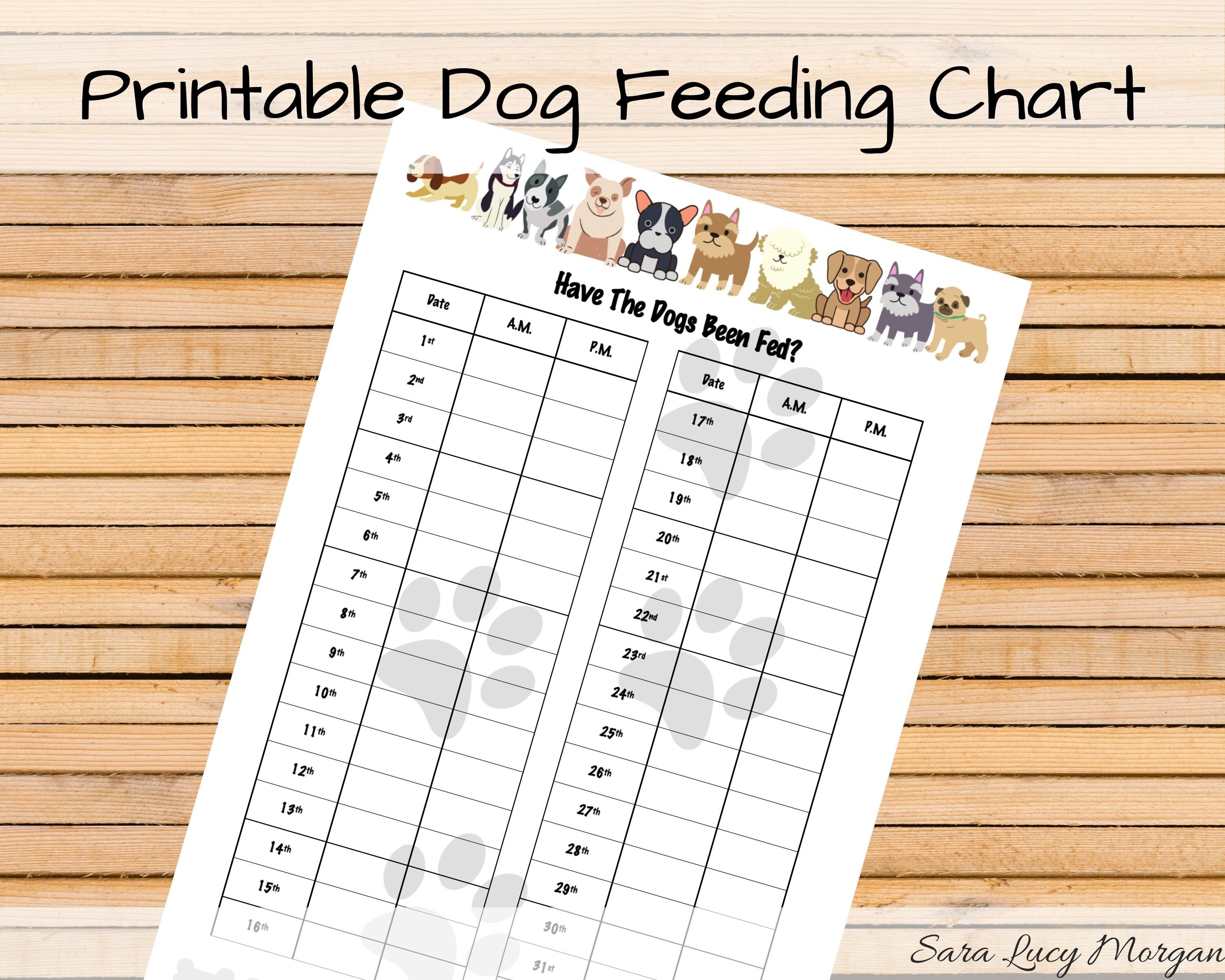 Printable Dog Safe Food Chart Ubicaciondepersonas cdmx gob mx