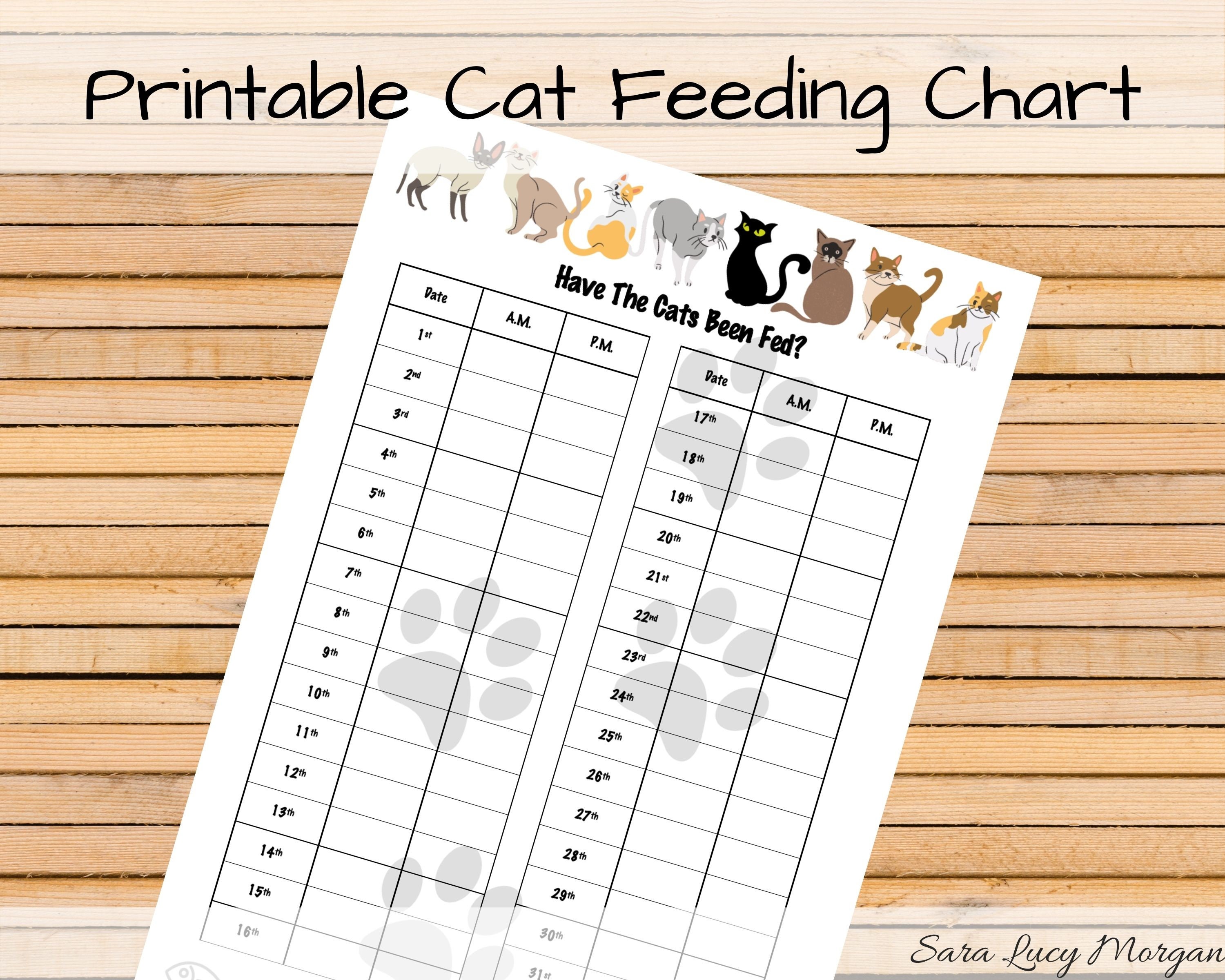 Monthly Printable Cat Feeding Chart Cat Food Schedule Pet Food Schedule Cat Food Reminder