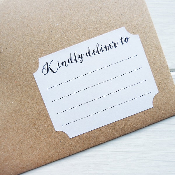 16 Kindly Deliver To Labels Blank Recipient Address Stickers Penpal Mailing Shipping Labels