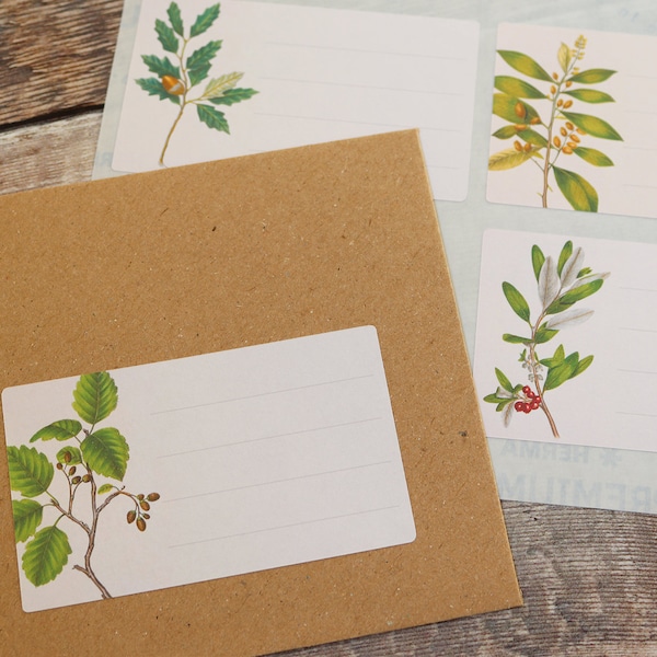 16 Mailing Labels Blank Recipient Address Stickers Penpal Cream Vintage Trees Nature Oak Shipping Labels