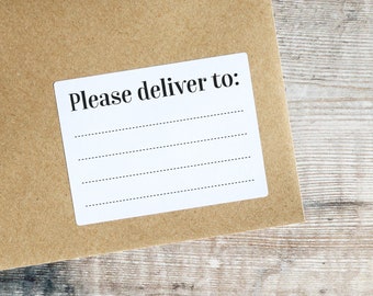 16 Please Deliver To Labels Blank Recipient Address Stickers Penpal Mailing Shipping Labels