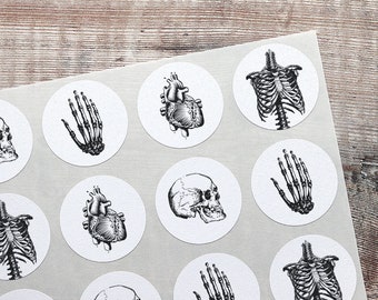 24 Anatomy Stickers Vintage Anatomy Rustic Skull Bones Round Vintage Envelope Seals 40mm Scrapbooking Collage Journal Textured Labels