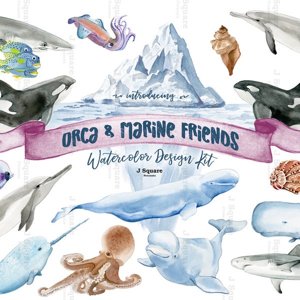 Watercolor Marine Animal Clipart – Whale, Orca, Shark (PNG)