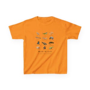 May include: Orange t-shirt featuring a collection of reptile and amphibian illustrations. The shirt includes the word "HERPETOLOGY" and the phrase "The study of reptiles and amphibians" in a small font at the bottom.