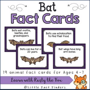 May include: A set of four educational fact cards about bats, with a purple border and illustrations of bats. The cards include facts such as what bats eat and how they use echolocation. The text "Bat Fact Cards" is at the top.