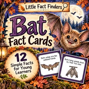 BatFact Cards Printable | Science Learning Activity (Digital Download)