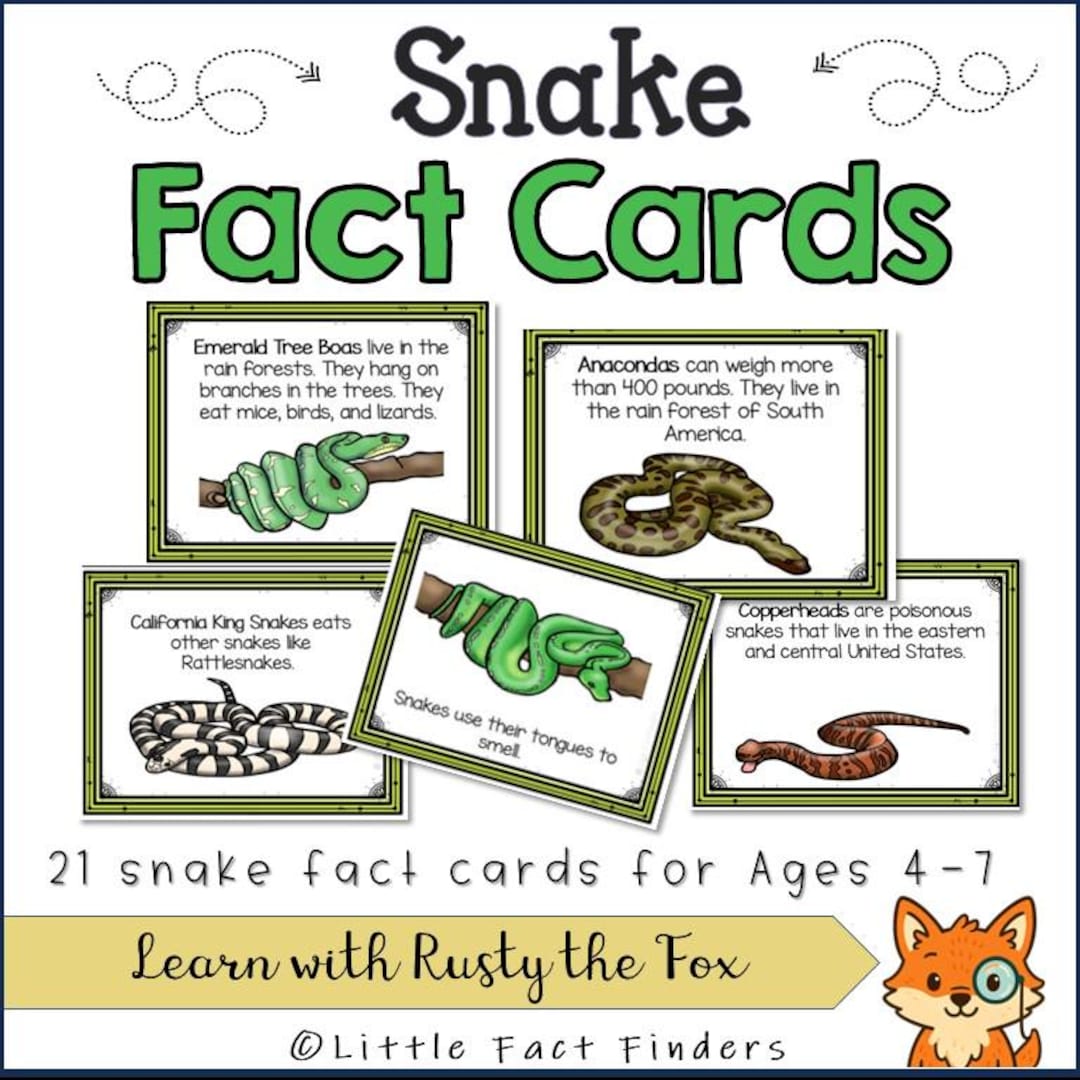 Snake Fact Cards for Kids | Reptile Learning | Preschool Science ...
