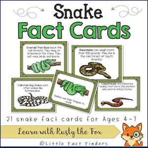 Peut inclure: Cartes éducatives "Snake Fact Cards" avec des illustrations de serpents, dont des boas émeraude et des crotales. Destinées aux enfants de 4 à 7 ans, elles présentent des informations sur chaque espèce de serpent.