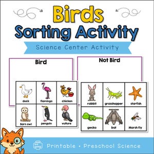 Puede incluir: Una actividad educativa imprimible colorida titulada "Birds Sorting Activity". La imagen presenta ilustraciones de varias aves y animales no aviares, categorizados bajo "Bird" y "Not Bird". Incluye un pato, un flamenco, un pollo, un conejo, un saltamontes, una estrella de mar, un búho, un pingüino, un buitre, un gecko, un murciélago y una mosca de pantano.