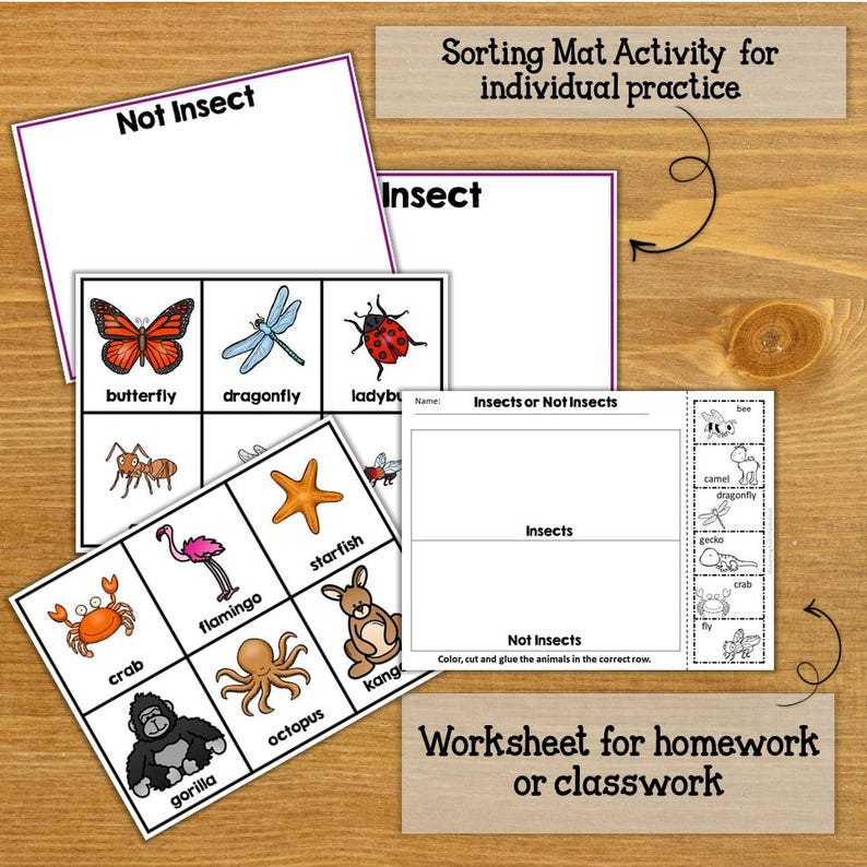 Homework Science Insects Preschool Insect Sorting Activity | Printable Science Center | Bug ...