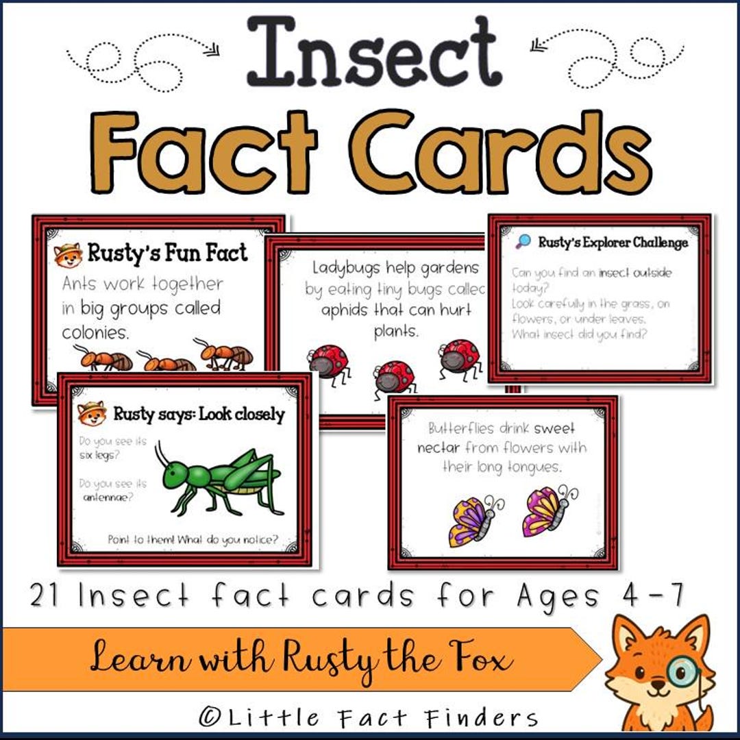 Insect Fact Cards Printable | Science Learning Activity (digital ...