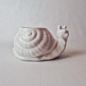 Puede incluir: Una maceta blanca de cerámica con forma de caracol. La maceta tiene un diseño de caparazón en espiral y una cabeza de caracol detallada. La abertura está en la parte superior de la concha. Adecuado para plantas pequeñas o suculentas.