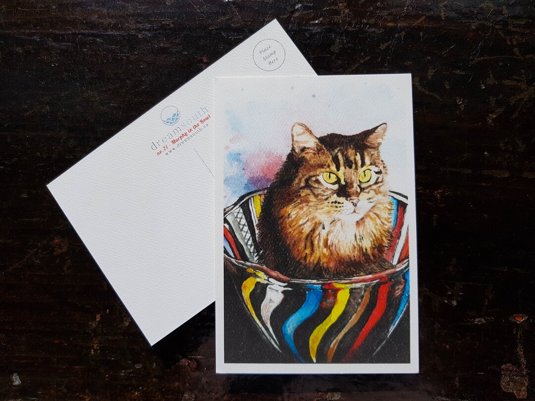 Cat Postcard / Cute Cat Print / Cat / Feline / Pretty Cat / Cat in a ...