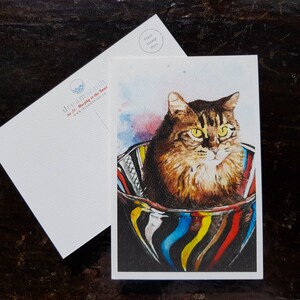 Carte postale de chat chat mignon Print / chat / félin / joli chat / Cat dans un bol / chaton / chaton carte postale / félin carte postale / Animal carte postale