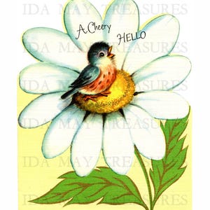 Fröhliches Hello Bird Gänseblümchen Bild #137 Digital Download