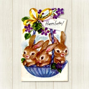Bunnies in a Basket Image #390 Digital Download