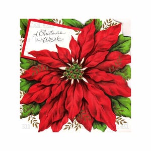 Ein Weihnachtswunsch Feiertag Weihnachtsstern Blume Weihnachten Bild #850 Digital Download