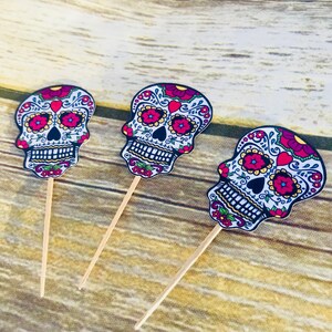 Sugar Skull cupcake sticks; Dia de los Muertos, Inspired by Disney&#39;s Coco; cinco de mayo party; skull decorations