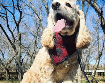 WOOF! knitting pattern