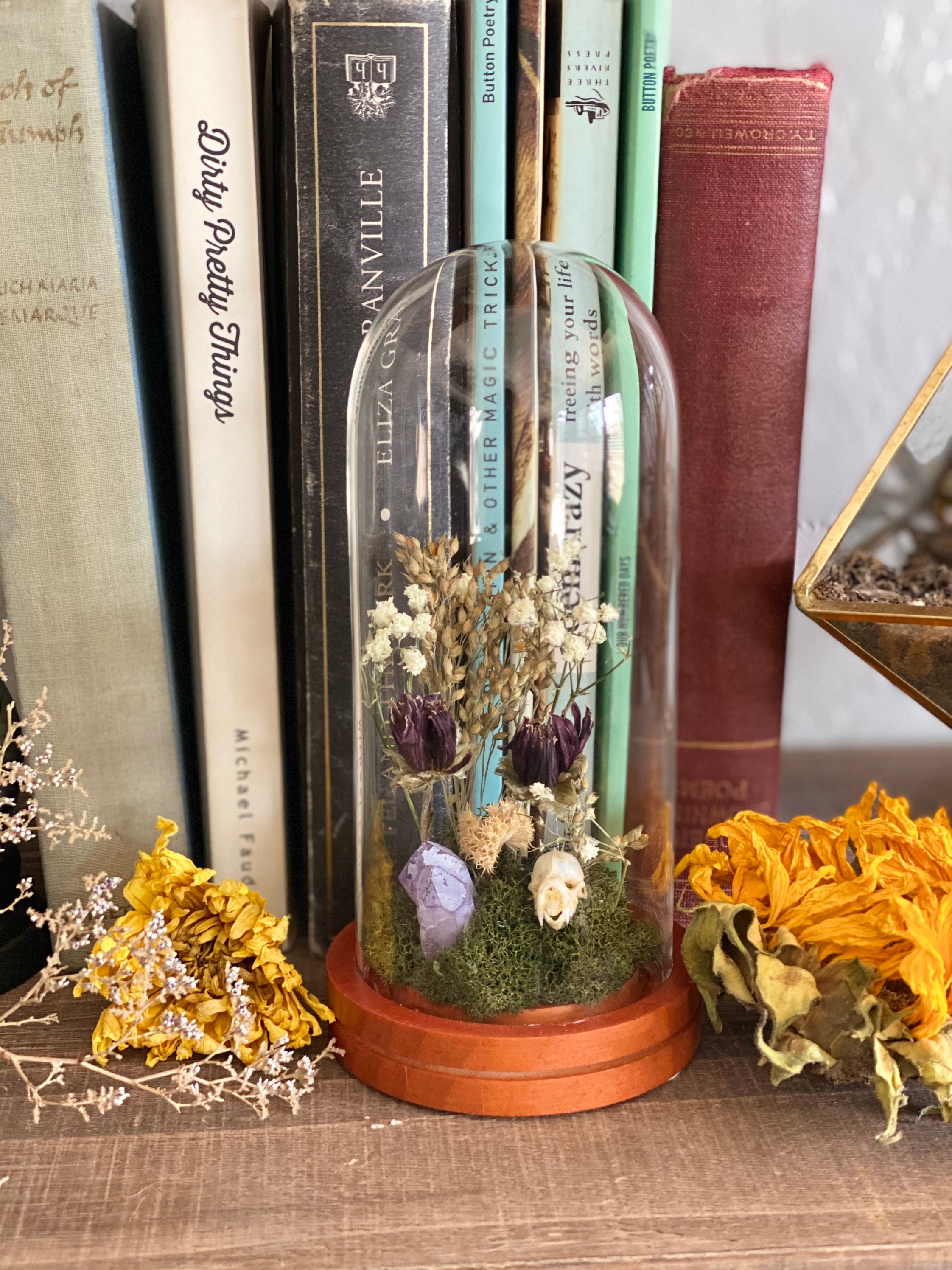 Small glass dome terrarium with a real Bat skull. Etsy