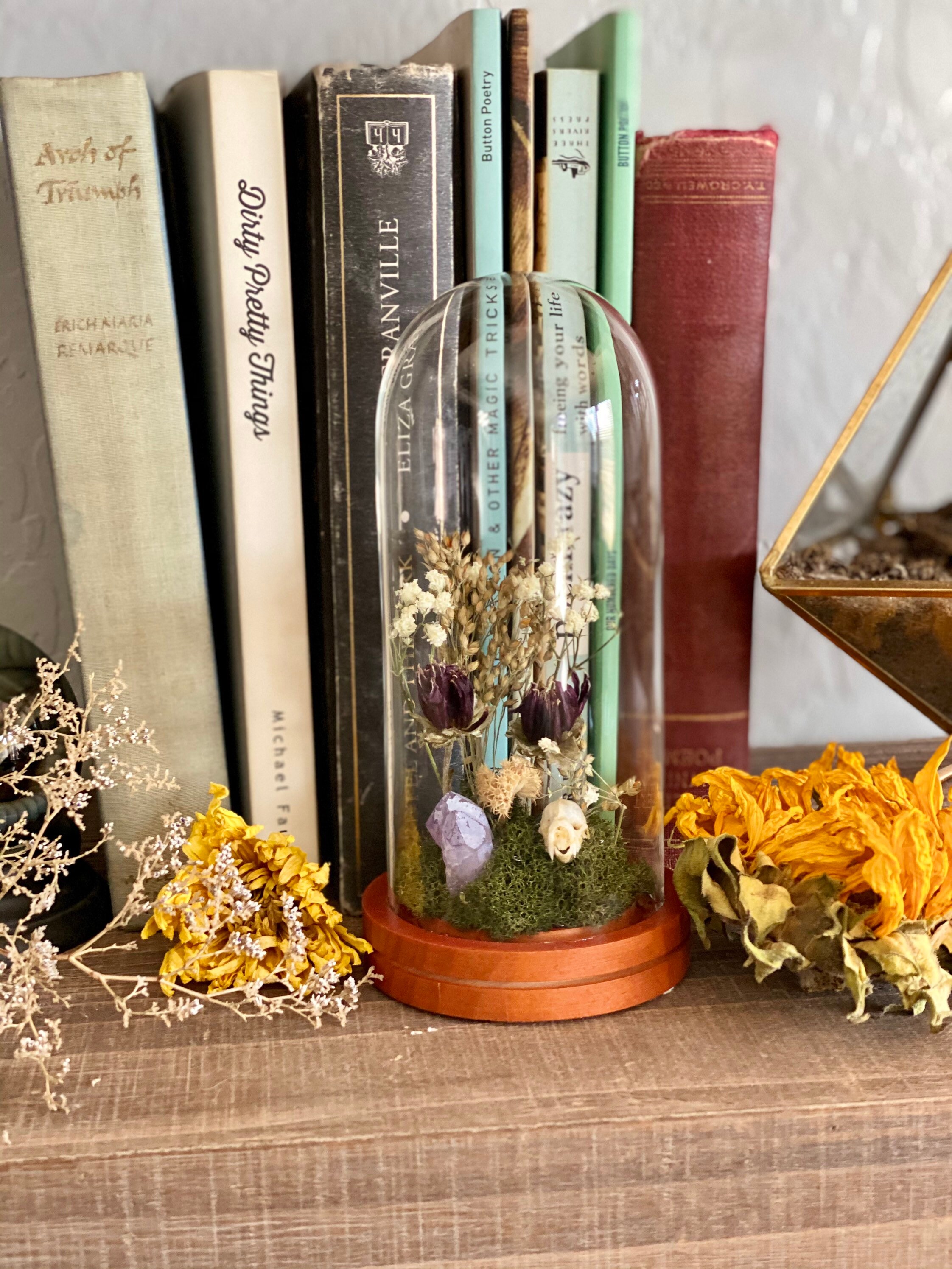 Small glass dome terrarium with a real Bat skull. Etsy