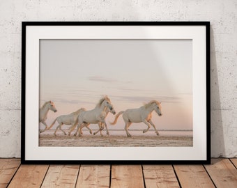 Camargue White Horses Photography, Southern France, Animal Print (Digital Download)